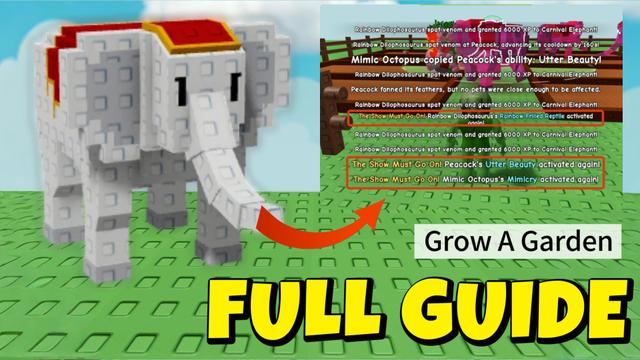 The Complete Carnival Elephant Guide