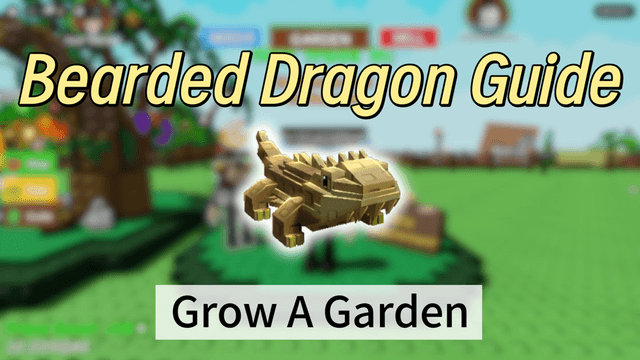 The Ultimate Bearded Dragon Guide: Skills, Combos, and Value