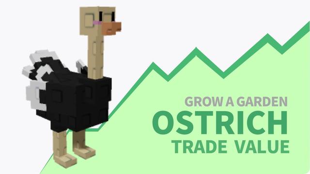 Grow a Garden Ostrich Trade Value and How to Get