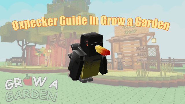 Oxpecker Full Guide in Grow a Garden: How to Get & How to Use