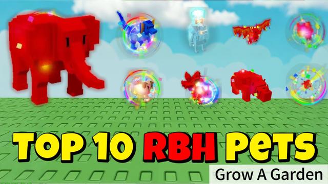 Top 10 Most Popular Rainbow Hatch Pets in Grow a Garden