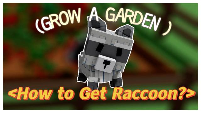 How to Get Raccoon in Grow a Garden