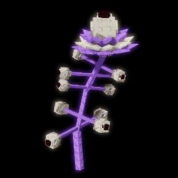 Asteris