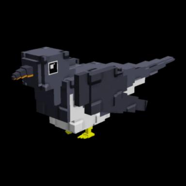 Cuckoo