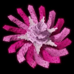Pinkside Dandelion