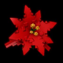 Poinsettia