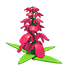 Snapdragon Flower