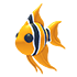 Angelfish