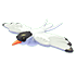 Arctic Tern
