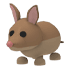 Bandicoot