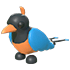Bird of Paradise