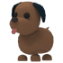 Chocolate Labrador