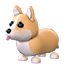 Corgi