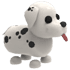 Dalmatian