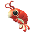 Emperor Shrimp