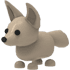 Fennec Fox