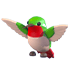 Hummingbird