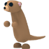 Meerkat