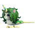 Mermicorn