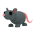 Rat