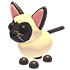 Siamese Cat