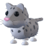 Snow Leopard