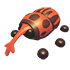 Weevil