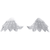 Angel Wings