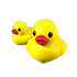 Rubber Ducks