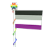 Ace Flag 2023