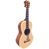 Camper's Guitar
