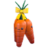 Carrot Bushel