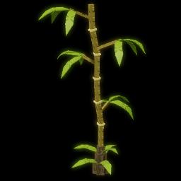 Bamboo Tree