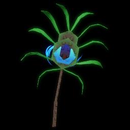 Peacock Tail