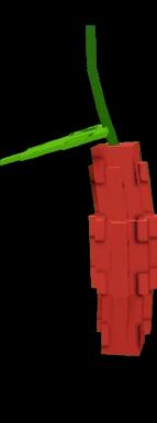 Bitter Melon