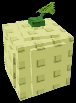 Cantaloupe