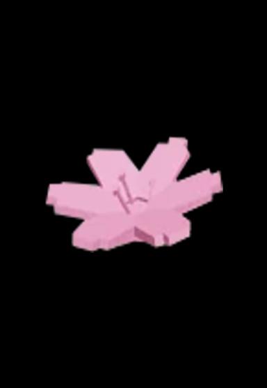 Cherry Blossom