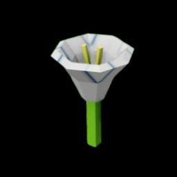 Moonflower