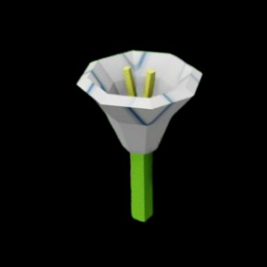 Moonflower