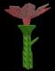 Pink Lily