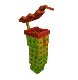 Pitcher Plant