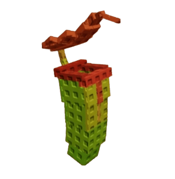 Pitcher Plant