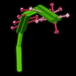 Sundew