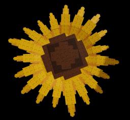 Legacy Sunflower