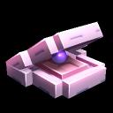 Clam