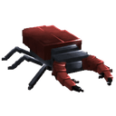 Stag Beetle