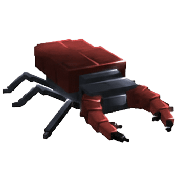 Stag Beetle