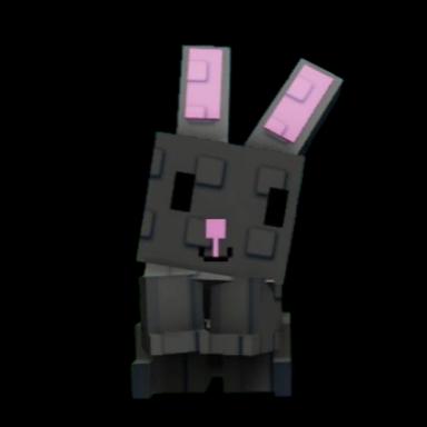 Black Bunny