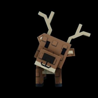 Deer