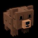 Grizzly Bear